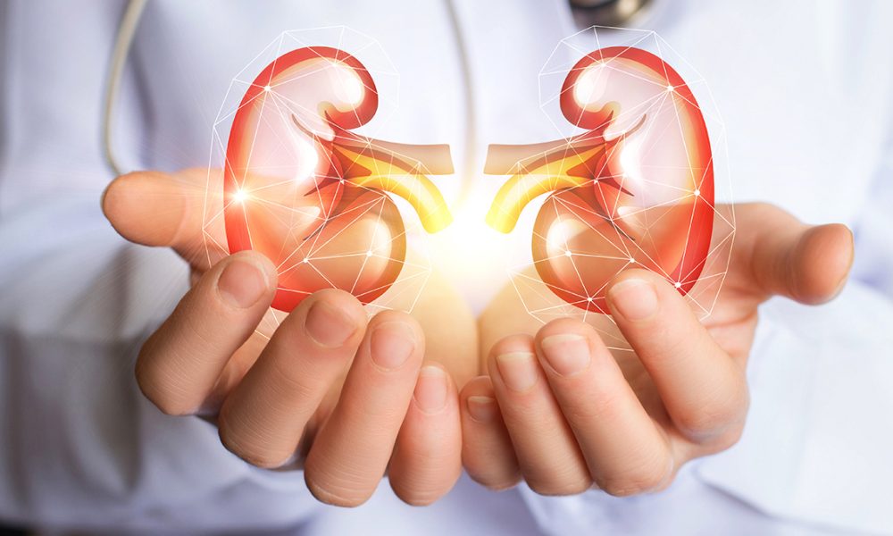 Doctor supports kidneys healthy