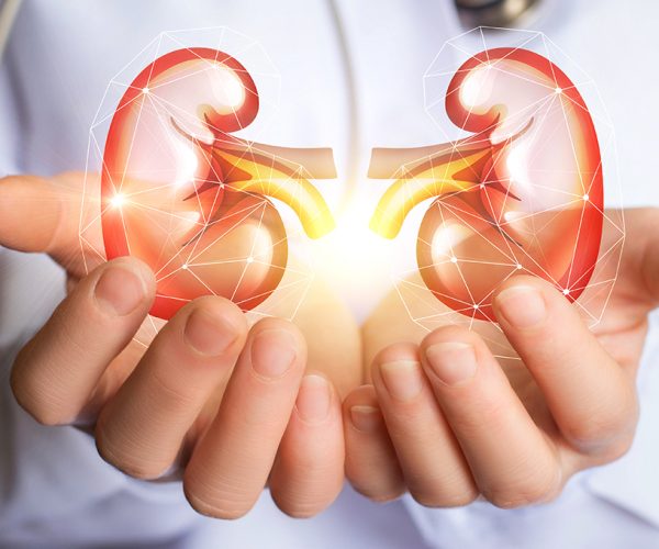 Doctor supports kidneys healthy
